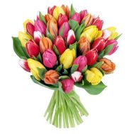 Bouquet of 41 tulips