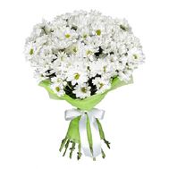 Букет із 11 ромашок