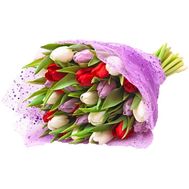 Букет із 25 тюльпанів