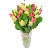 Bouquet of 19 Tulips