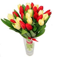 Bouquet of 23 Tulips