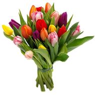 Bouquet of 19 Tulips