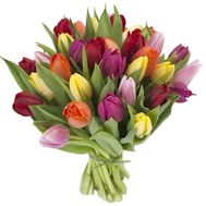 Bouquet of 29 Tulips