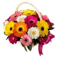 Корзина из 25 гербер