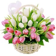 Корзина 39 белых и розовых тюльпанов