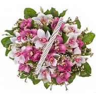 Корзинка из 19 орхидей