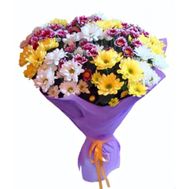 Bouquet of 25 multi-colored chrysanthemums
