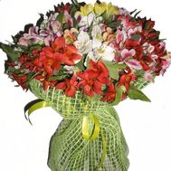 Bouquet of 35 alstromeries