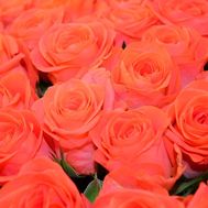 Помаранчеві троянди поштучно