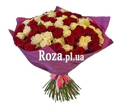 101 червона і біла троянда 101 червона і біла троянда