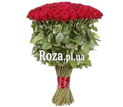 101 метрова троянда 101 метрова троянда