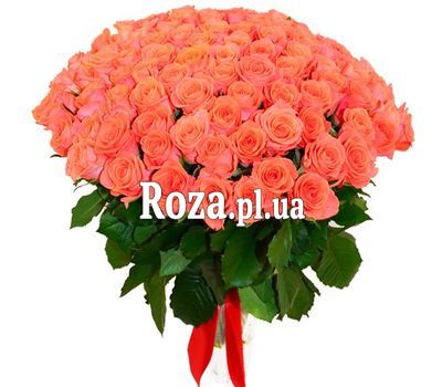 101 оранжевую розу 101 оранжевую розу