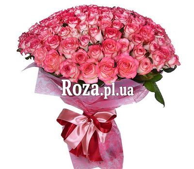 101 роза джумилия 101 роза джумилия