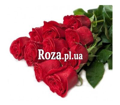 11 метровых роз 11 метровых роз