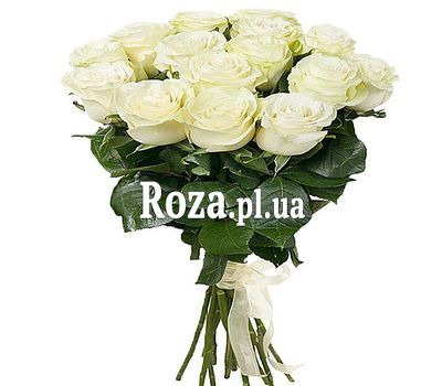 15 imported white roses 15 imported white roses