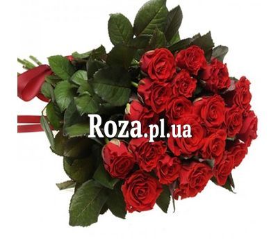 21 el Toro 21 el Toro