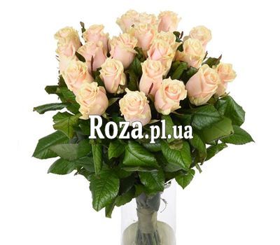 21 cream-colored roses