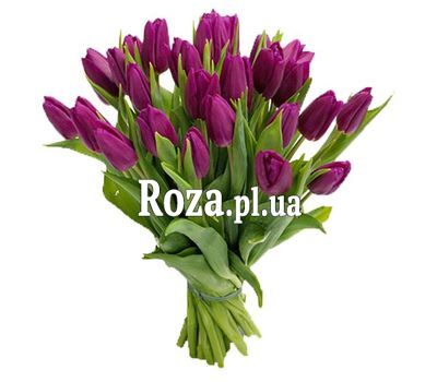 25 purple tulips 25 purple tulips