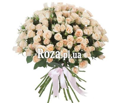 25 кремових кущових троянд 25 кремових кущових троянд