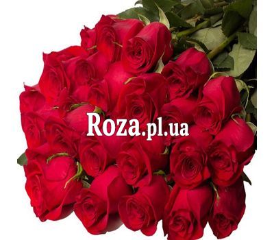 25 метрових троянд 25 метрових троянд