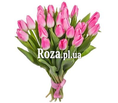 25 pink tulips 25 pink tulips