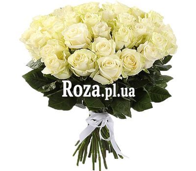 31 біла імпортна троянда 31 біла імпортна троянда