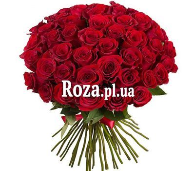 51 червона імпортна троянда 51 червона імпортна троянда