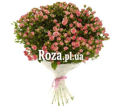 51 рожева кущова троянда 51 рожева кущова троянда