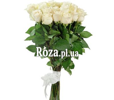 Білі імпортні троянди Білі імпортні троянди