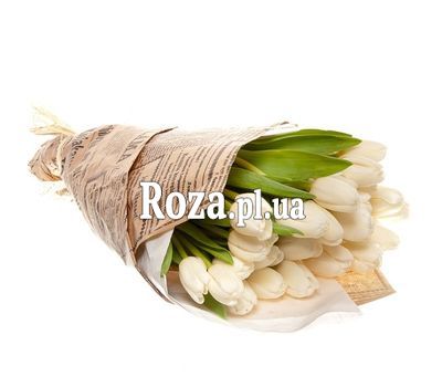 White Tulips in the Newspaper White Tulips in the Newspaper