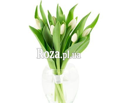 Bouquet of 11 Tulips Bouquet of 11 Tulips