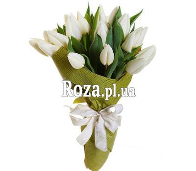 Bouquet of white tulips Bouquet of white tulips