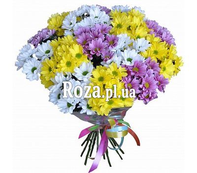 Bouquet of chrysanthemums for a friend Bouquet of chrysanthemums for a friend