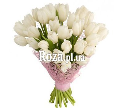 Bouquet of 35 white tulips Bouquet of 35 white tulips