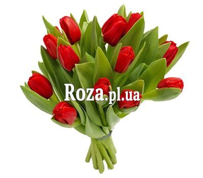 Bouquet of 13 Tulips Bouquet of 13 Tulips