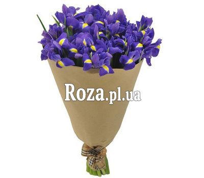 Іриси в папері Іриси в папері