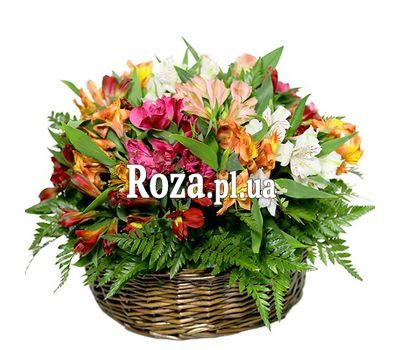 Кошик альстромерій Кошик альстромерій