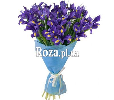 Гарний букет ірисів Гарний букет ірисів