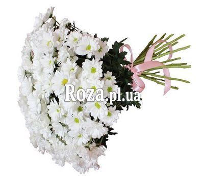 Bouquet of 21 daisies Bouquet of 21 daisies