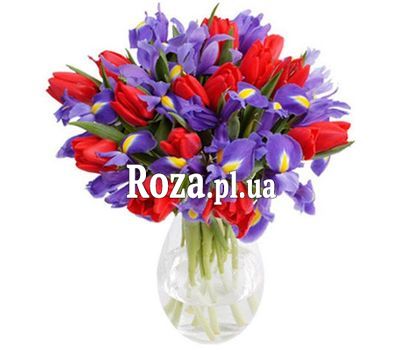 Червоні тюльпани та іриси Червоні тюльпани та іриси