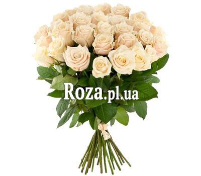 Beautiful white roses Beautiful white roses