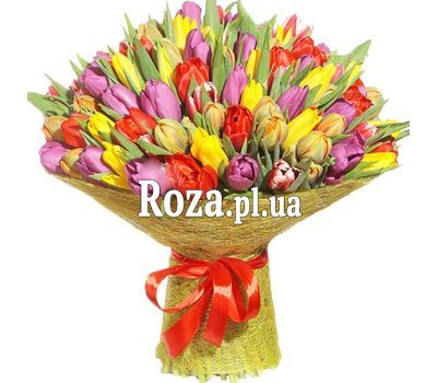 151 тюльпан 151 тюльпан