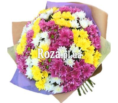 Shrub chrysanthemums in bouquet Shrub chrysanthemums in bouquet