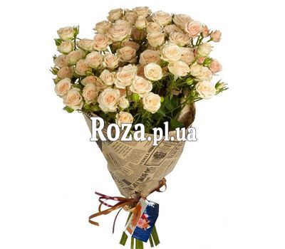 Shrub Roses in Paper Shrub Roses in Paper