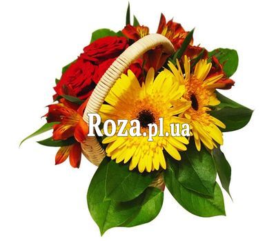 Маленька кошик квітів Маленька кошик квітів