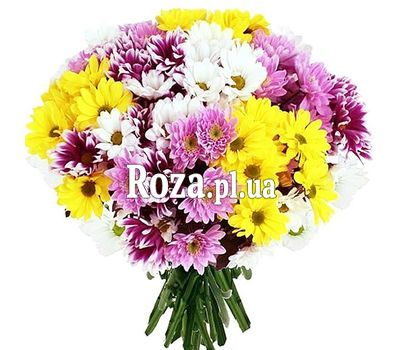 Mixed bouquet of chrysanthemums Mixed bouquet of chrysanthemums