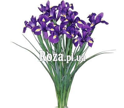 A small bouquet of irises A small bouquet of irises