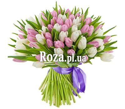 A gentle bouquet of 101 tulips A gentle bouquet of 101 tulips