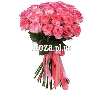 Delicate bouquet of roses Delicate bouquet of roses