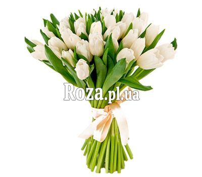 A charming bouquet of white tulips A charming bouquet of white tulips